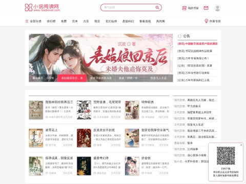 网站预览