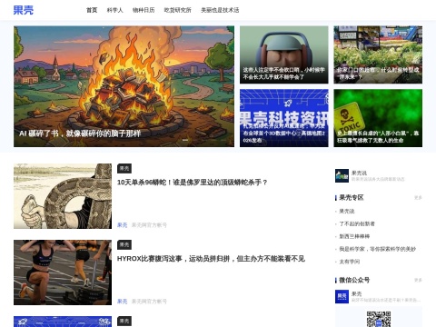 网站预览