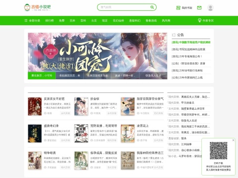 网站预览