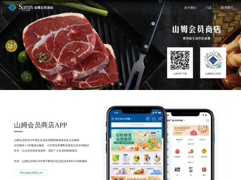 网站预览