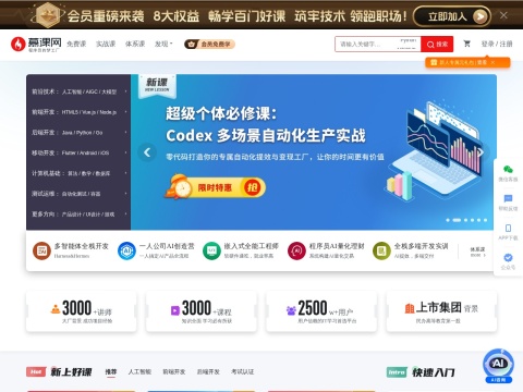 网站预览