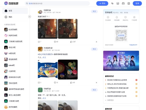 网站预览