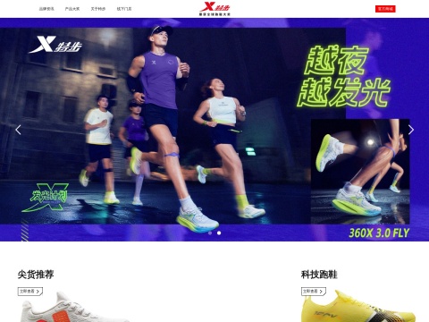 网站预览