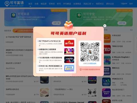 网站预览