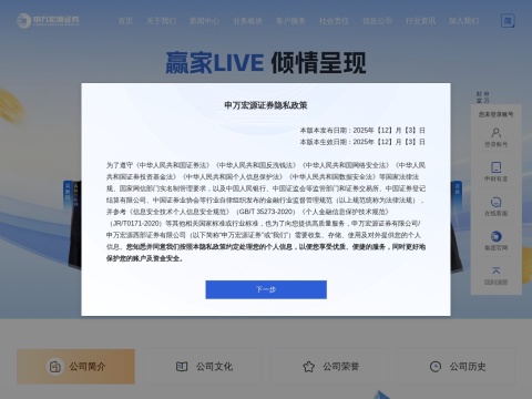 网站预览