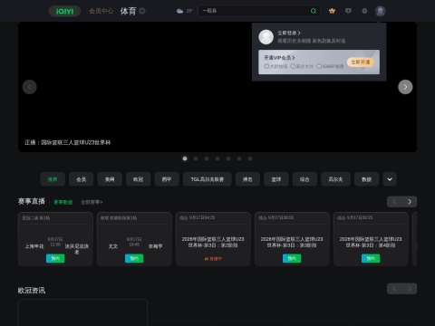 网站预览