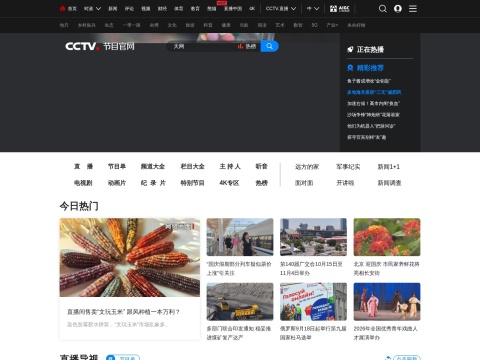 网站预览