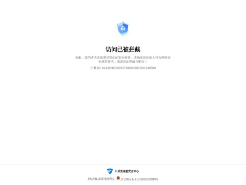 网站预览