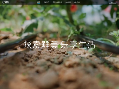 网站预览